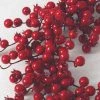 Sullivans 6' Berry Artificial Garland 72"L Red -Northlight Christmas Store GUEST 00c853f1 ca8e 4eed a3c8 a41e5c420fdd