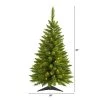 3ft Nearly Natural Pre-Lit Providence Pine Artificial Christmas Tree Warm White Lights