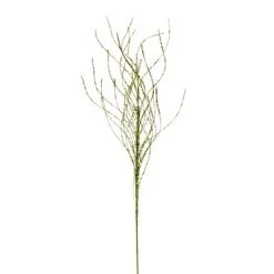 Vickerman 37" Wavy Twig Glitter Spray -Northlight Christmas Store GUEST 04c72d76 0093 4514 8fd7 9fa1b6d46349