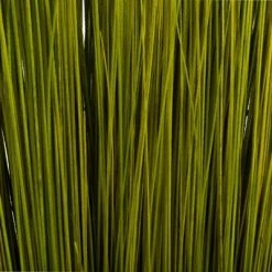 Vickerman Bright Grass, Dried -Northlight Christmas Store GUEST 04d466e7 de65 4d1c 95e6 e97af4abc43f
