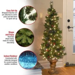 National Tree Company 5 ft Pre-Lit Artificial Entrance Christmas Tree, Green, Crestwood Spruce, White Lights, Frosted Branches, Pot Base -Northlight Christmas Store GUEST 05f7ca42 96b6 4cdc 8e83 df3ce129f20f