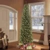 10ft Pre-lit Artificial Christmas Tree Forest Fir - Puleo -Northlight Christmas Store GUEST 064cd8f0 0402 4706 936b 18dc69207589