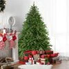Northlight 6.5' Pre-Lit Roosevelt Fir Artificial Christmas Tree - Clear Lights 1 Northlight 6.5' Pre-Lit Roosevelt Fir Artificial Christmas Tree - Clear Lights -Northlight Christmas Store GUEST 089fba50 fde4 4b65 9401 0542593078f1