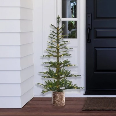 Haute Decor 5ft Pre-Lit LED Timberland Fir Artificial Potted Christmas Tree - Haute Décor 5 Haute Decor 5ft Pre-Lit LED Timberland Fir Artificial Potted Christmas Tree - Haute Décor - Image 3