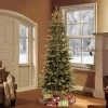 6.5ft Pre-Lit Alaskan Fir Artificial Christmas Tree - Puleo -Northlight Christmas Store GUEST 09e88ea2 f655 4611 b0d6 0a365a10e3e1