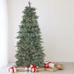 Northlight 10' Prelit Artificial Christmas Tree Slim Washington Frasier Fir - Clear Lights -Northlight Christmas Store GUEST 0b0ad644 60c0 44b5 9d28 9236aa7120c6