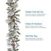 NOMA Snow Dusted Berry and Pinecone 9 Foot Pre Lit 162 PE and PVC Pine Needle Christmas Garland Indoor and Outdoor Home Holiday Mantle Decor -Northlight Christmas Store GUEST 0ca3317e 0627 41ed a11f d5390109d02a