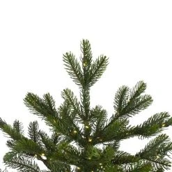 Northlight 9' Prelit Artificial Christmas Tree LED Oregon Noble Fir - Warm White Lights -Northlight Christmas Store GUEST 0ca54847 b166 413e 8554 0605dab2812b