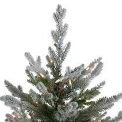 Northlight Real Touch™️ Pre-Lit Flocked Little River Fir Artificial Christmas Tree - Clear Lights - 7.5' -Northlight Christmas Store GUEST 0f942843 621a 4612 9c47 c78d332bd416