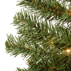 National Tree Company 4' Montclair Spruce Artificial Pencil Christmas Tree 50ct Clear -Northlight Christmas Store GUEST 105a4045 9169 4c03 8423 2e04aa076c2b