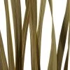 Vickerman 18-30" Snake Grass, Dried - 36 Stems -Northlight Christmas Store GUEST 10e51f82 a88c 45b9 985c da97927eed43