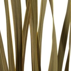 Vickerman 18-30" Snake Grass, Dried - 36 Stems
