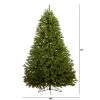 6ft Nearly Natural Pre-Lit LED Cambridge Spruce Flat Back Artificial Christmas Tree Warm White Lights -Northlight Christmas Store GUEST 121f36e6 7b24 44b6 b0f8 6b048b1ddeb8