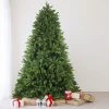 Northlight 7.5' Gunnison Pine Artificial Christmas Tree - Unlit -Northlight Christmas Store GUEST 126ed5f1 f4d0 41a5 a8e7 fda0106131a1