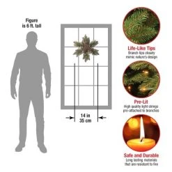 National Tree Company Pre-Lit Artificial Christmas Star Wreath, Green, Glittery Bristle Pine, White Lights with Pine Cones, Frosted Branches,14 Inches 8 National Tree Company Pre-Lit Artificial Christmas Star Wreath, Green, Glittery Bristle Pine, White Lights with Pine Cones, Frosted Branches,14 Inches -Northlight Christmas Store GUEST 12a178f4 6671 4908 a693 441a1bf9a269