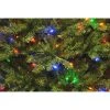 National Tree Company 10' Pre-Lit Dunhill Fir Full Artificial Christmas Tree with 1200 Dual Color LED Lights & Powerconnect -Northlight Christmas Store GUEST 14348f8d 031d 455f 899d 87c90da9196d