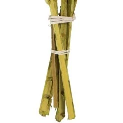 Vickerman Natural Stem, Dried -Northlight Christmas Store GUEST 152ff623 010b 4429 934b 5953cb24f787