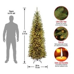 National Tree Company 7 ft Artificial Pre-Lit Slim Christmas Tree, Green, Kingswood Fir, White Lights, Includes Stand 9 National Tree Company 7 ft Artificial Pre-Lit Slim Christmas Tree, Green, Kingswood Fir, White Lights, Includes Stand -Northlight Christmas Store GUEST 15d7ac77 5d6e 4105 bb32 d936dfe055a7