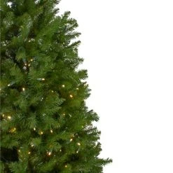 Northlight 14' Pre-Lit Northern Pine Full Artificial Christmas Tree - Warm White LED Lights 8 Northlight 14' Pre-Lit Northern Pine Full Artificial Christmas Tree - Warm White LED Lights -Northlight Christmas Store GUEST 16de2f66 f870 49fd a061 d1c48f0f888f