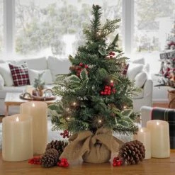 National Tree Company First Traditions 24" Pre-Lit Battery Operated Mixed Tip Holly Berry Table Top Artificial Christmas Tree Clear Lights