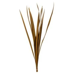 Vickerman 18-30" Snake Grass, Dried - 36 Stems -Northlight Christmas Store GUEST 1aa8ca72 846d 49cf b3a1 9af3e8200816