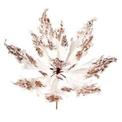 Vickerman 16" x 22" Velvet Sequin Poinsettia Aritificial Christmas Pick -Northlight Christmas Store GUEST 1c1a0ba1 5810 4ed5 807f eb746e213004