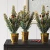 12.5" 3pc Potted Greenery with Berries Christmas Artificial Plant Green/Gold - Wondershop™ -Northlight Christmas Store GUEST 1cbb6022 527d 4ddb 8392 d18faceb6f3f