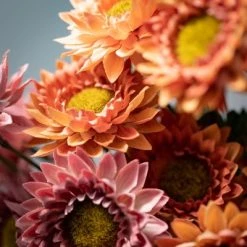 25.5"H Sullivans Fall Straw Flower Stem Trio; Multicolored