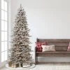 7.5ft Puleo Pre-Lit Flocked Slim Royal Majestic Douglas Spruce Artificial Christmas Tree Clear Lights -Northlight Christmas Store GUEST 1d220920 2721 4bf0 aee6 052efff9a4e2