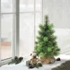2ft Puleo Pre-Lit Tabletop Artificial Christmas Tree Burlap Sack Clear Lights -Northlight Christmas Store GUEST 1fa8e604 2b99 4848 91bc e26f8e40d7f2