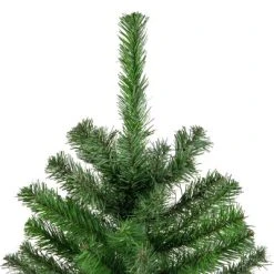 Northlight 4' Colorado Spruce Full Artificial Christmas Tree, Unlit -Northlight Christmas Store GUEST 1fd1623d 5955 4eea 9421 1e018ec537b5