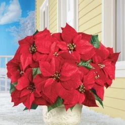 Collections Etc. Collections Etc Bright Red Decorative Velvet Poinsettia Bushes - Set of 3 10 X 10 X 17