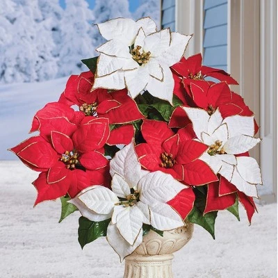 Collections Etc. Collections Etc Red and White Poinsettia Bushes - Set of 3 9 X 9 X 19 3 Collections Etc. Collections Etc Red and White Poinsettia Bushes - Set of 3 9 X 9 X 19