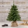 Northlight 18" Potted Downswept Mini Village Pine Medium Artificial Christmas Tree, Unlit -Northlight Christmas Store GUEST 25e771b0 5b3d 4a24 9081 20c3d01c4d96