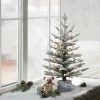 2ft Puleo Pre-Lit Flocked Potted Slim Artic Fir Artificial Christmas Tree Clear Lights 1 2ft Puleo Pre-Lit Flocked Potted Slim Artic Fir Artificial Christmas Tree Clear Lights -Northlight Christmas Store GUEST 267cfb5a 3127 43a7 82d9 e66da6b60f15