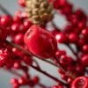 4'L Sullivans Red Berry Pod Garland; Red Christmas Garland 2 4'L Sullivans Red Berry Pod Garland; Red Christmas Garland -Northlight Christmas Store GUEST 26c5cf13 a8a1 4345 88c5 60914ef4cf92
