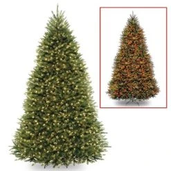National Tree Company Pre-Lit LED Full Dunhill Fir Hinged Artificial Christmas Tree Dual Color Lights with 9 Function Footswitch -Northlight Christmas Store GUEST 26f2af4f 47f1 4da0 ae56 7786a771ab13