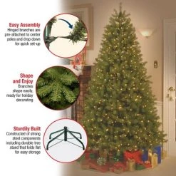 National Tree Company 6 ft Pre-Lit 'Feel Real' Artificial Full Downswept Christmas Tree, Green, Douglas Fir, White Lights, Includes Stand 9 National Tree Company 6 ft Pre-Lit 'Feel Real' Artificial Full Downswept Christmas Tree, Green, Douglas Fir, White Lights, Includes Stand -Northlight Christmas Store GUEST 284ab6fb f51c 4c84 b91a f77834342868