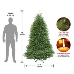 National Tree Company 7 ft Artificial Full Christmas Tree, Green, Dunhill Fir, Includes Stand 9 National Tree Company 7 ft Artificial Full Christmas Tree, Green, Dunhill Fir, Includes Stand -Northlight Christmas Store GUEST 2a8a7cde e749 4230 bfcf 8a2ba138404e