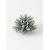 Sullivans Artificial Prickly Pine 1/2 Orb 6.5"H Green -Northlight Christmas Store GUEST 2aeccd98 5bca 4c24 8c32 80c749ef9687