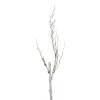 Northlight 46.5" White and Brown Birch Artificial Christmas Branch Twig 1 Northlight 46.5" White and Brown Birch Artificial Christmas Branch Twig -Northlight Christmas Store GUEST 2e5076f7 a574 4bf6 9eb9 43660f334fbc