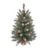 Transpac Artificial 24 in. Multicolor Christmas Lightly Frosted Fir Tree in Bag -Northlight Christmas Store GUEST 2e73bb3a 2311 469c 91c5 aa8320874ef0