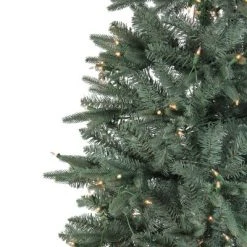 Northlight 10' Prelit Artificial Christmas Tree Slim Washington Frasier Fir - Clear Lights -Northlight Christmas Store GUEST 2ebf01fa ceff 4a33 9d22 2206ab41cbdf