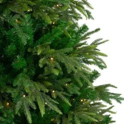 Northlight 6.5' Pre-Lit Roosevelt Fir Artificial Christmas Tree - Clear Lights -Northlight Christmas Store GUEST 3070f04c d592 4a22 931a 26b72b54c221