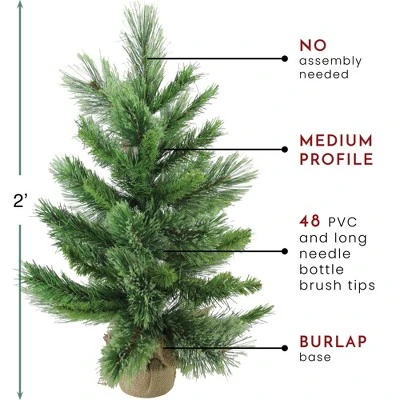 Northlight 2' Potted Mixed Cashmere Pine Medium Artificial Christmas Tree, Unlit 7 Northlight 2' Potted Mixed Cashmere Pine Medium Artificial Christmas Tree, Unlit - Image 5