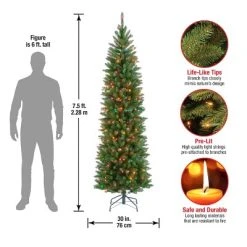 National Tree Company 7.5 ft Artificial Pre-Lit Slim Christmas Tree, Green, Kingswood Fir, Multicolor Lights, Includes Stand -Northlight Christmas Store GUEST 3242bcdd d199 4b2d 9310 7f760bede593