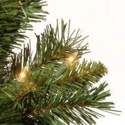 National Tree Company 24" Pre-Lit Majestic Fir Artificial Christmas Tree in Gold Cloth Bag with 35 Clear lights -Northlight Christmas Store GUEST 33d9e7dd df4f 42d1 a4b9 1d933a6e3829