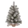 Transpac Artificial 24 in. Multicolor Christmas Snow Colorado Tree with Bagged Stand -Northlight Christmas Store GUEST 33dec849 18c7 4d44 be15 5152eac4def3