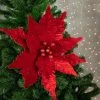 Northlight 24" Glittered Red Poinsettia Christmas Stem Spray 1 Northlight 24" Glittered Red Poinsettia Christmas Stem Spray -Northlight Christmas Store GUEST 36e3eaa8 e72b 47d3 ae81 63b89d25ecb5
