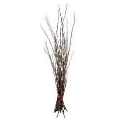 Vickerman 34-40" Moneta Branches, Dried 8oz -Northlight Christmas Store GUEST 371fd893 fc08 48a3 9505 6160a5858fb7